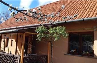 Eladó Szolnoki családi ház hirdetés (49324493)