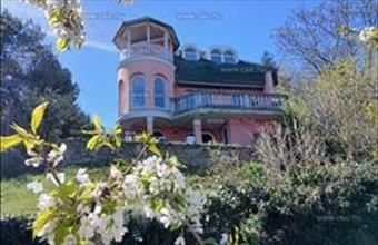 Eladó Budakalászi családi ház hirdetés (43864954)