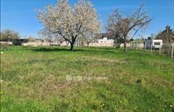 Eladó Halászteleki egyéb mezőgazdasági ingatlan hirdetés (43543739)