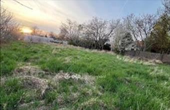 Eladó Szentesi lakóövezeti telek hirdetés (56438972)