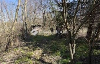 Eladó Tóalmási egyéb telek hirdetés (24314572)