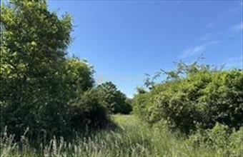 Eladó Piliscsévi külterületi telek hirdetés (79497647)