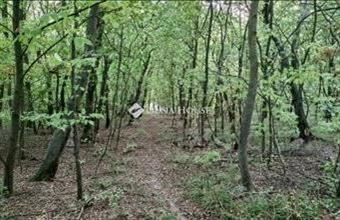 Eladó Alcsútdobozi lakóövezeti telek hirdetés (39755643)