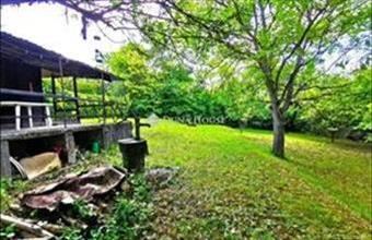 Eladó Budakeszi külterületi telek hirdetés (31881734)