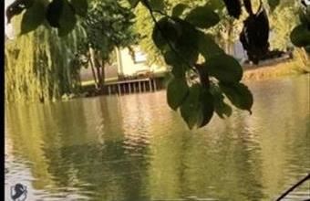 Eladó Kapuvári családi ház hirdetés (56762463)