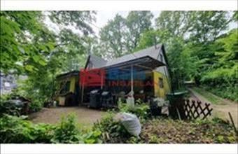 Eladó Kismarosi hétvégi ház hirdetés (75725773)