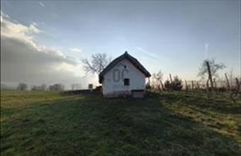 Eladó Buzsáki hétvégi ház hirdetés (23372262)