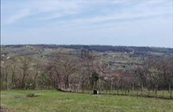 Eladó Szekszárdi egyéb mezőgazdasági ingatlan hirdetés (55396977)