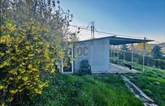 Eladó Törökbálinti üdülőövezeti telek hirdetés (36757736)