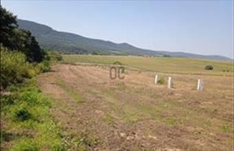 Eladó Ürömi lakóövezeti telek hirdetés (65544224)