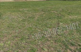 Eladó Budakeszi egyéb telek hirdetés (42344873)