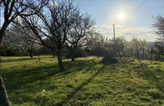 Eladó Várpalotai zártkert hirdetés (49453473)