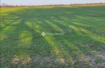 Eladó Gárdonyi külterületi telek hirdetés (31923833)