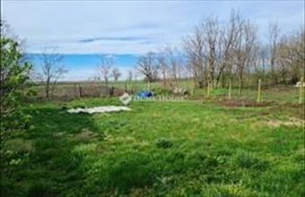 Eladó Lajoskomáromi családi ház hirdetés (79164286)