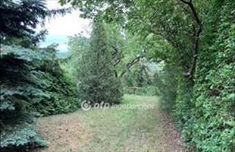 Eladó Solymári hétvégi ház hirdetés (43633289)