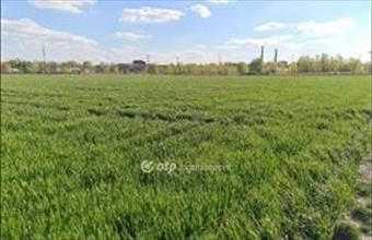 Eladó Szigetszentmiklósi egyéb telek hirdetés (55757387)