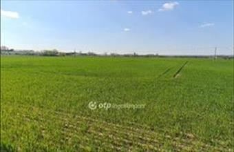 Eladó Szigetszentmiklósi termőföld, szántó hirdetés (42553589)