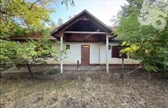 Eladó Kecskeméti tanya hirdetés (46943683)