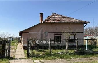 Eladó Csanyteleki családi ház hirdetés (63336439)