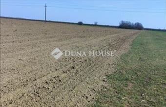 Eladó Cigándi lakóövezeti telek hirdetés (65849332)