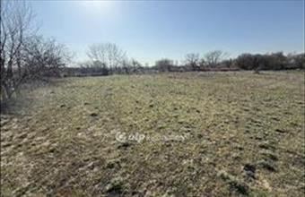 Eladó Tiszakécskei üdülőövezeti telek hirdetés (94453577)