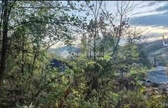 Eladó Sárisápi lakóövezeti telek hirdetés (94657644)