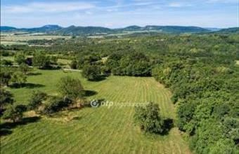 Eladó Szentbékkállai külterületi telek hirdetés (92345388)