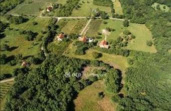 Eladó Szentbékkállai külterületi telek hirdetés (39189455)