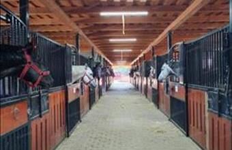 Eladó Nyíregyházai tanya hirdetés (94945645)