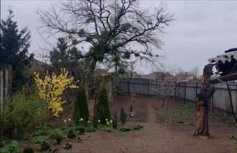 Eladó Kisvárdai családi ház hirdetés (53817342)