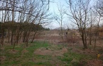 Eladó Nyíregyházai egyéb telek hirdetés (45643532)