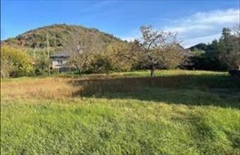 Eladó Pilisjászfalui egyéb telek hirdetés (43347233)