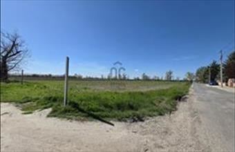 Eladó Szigetszentmiklósi külterületi telek hirdetés (82346865)