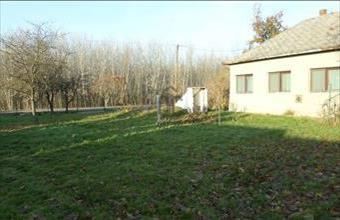 Eladó Tiszaszőlősi családi ház hirdetés (57794344)