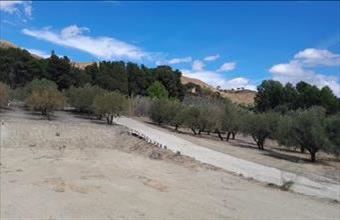 Eladó Spanyolországi lakóövezeti telek hirdetés (13931844)