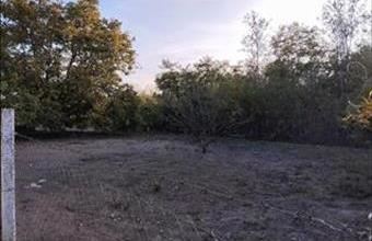 Eladó Csikériai lakóövezeti telek hirdetés (22364448)