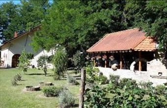 Eladó Vasadi tanya hirdetés (37269398)