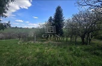 Eladó Zalaegerszegi lakóövezeti telek hirdetés (96971662)