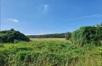 Eladó Isaszegi lakóövezeti telek hirdetés (43683464)