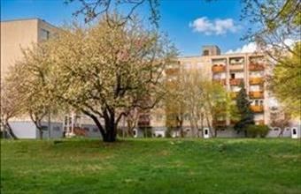 Eladó Szentendrei panel lakás hirdetés (11943939)