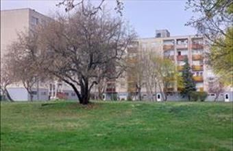 Eladó Szentendrei panel lakás hirdetés (11943939)