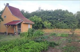 Eladó Kecskeméti külterületi telek hirdetés (33432768)