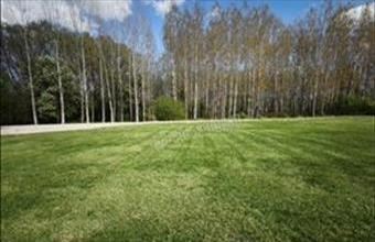 Eladó Dunaszigeti egyéb telek hirdetés (99479374)