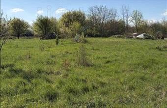 Eladó Berhidai lakóövezeti telek hirdetés (83673798)