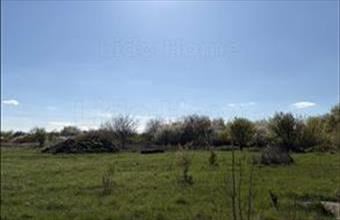 Eladó Berhidai lakóövezeti telek hirdetés (79887457)