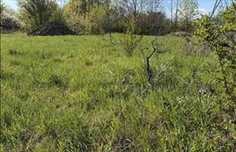 Eladó Berhidai lakóövezeti telek hirdetés (75494439)