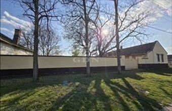 Eladó Madarasi családi ház hirdetés (39727756)