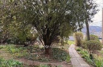 Eladó Budapest I. kerületi tégla lakás hirdetés (52386398)