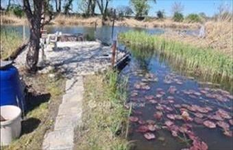 Eladó Taksonyi családi ház hirdetés (46893665)