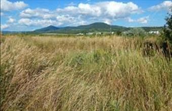 Eladó Egeri külterületi telek hirdetés (89387848)